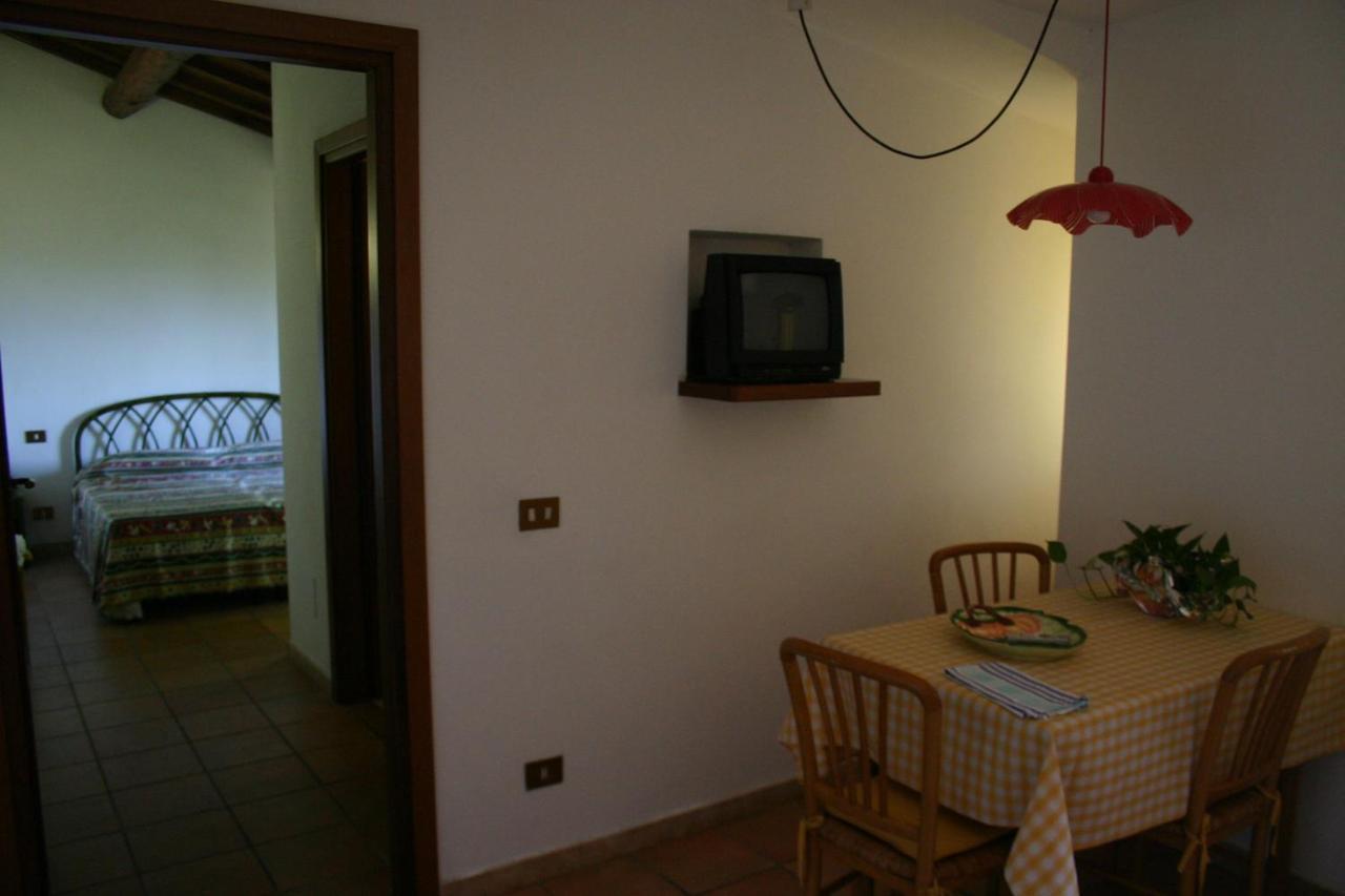 Agriturismo Oliveto Di Geltrude Contessa Amelia Exterior photo