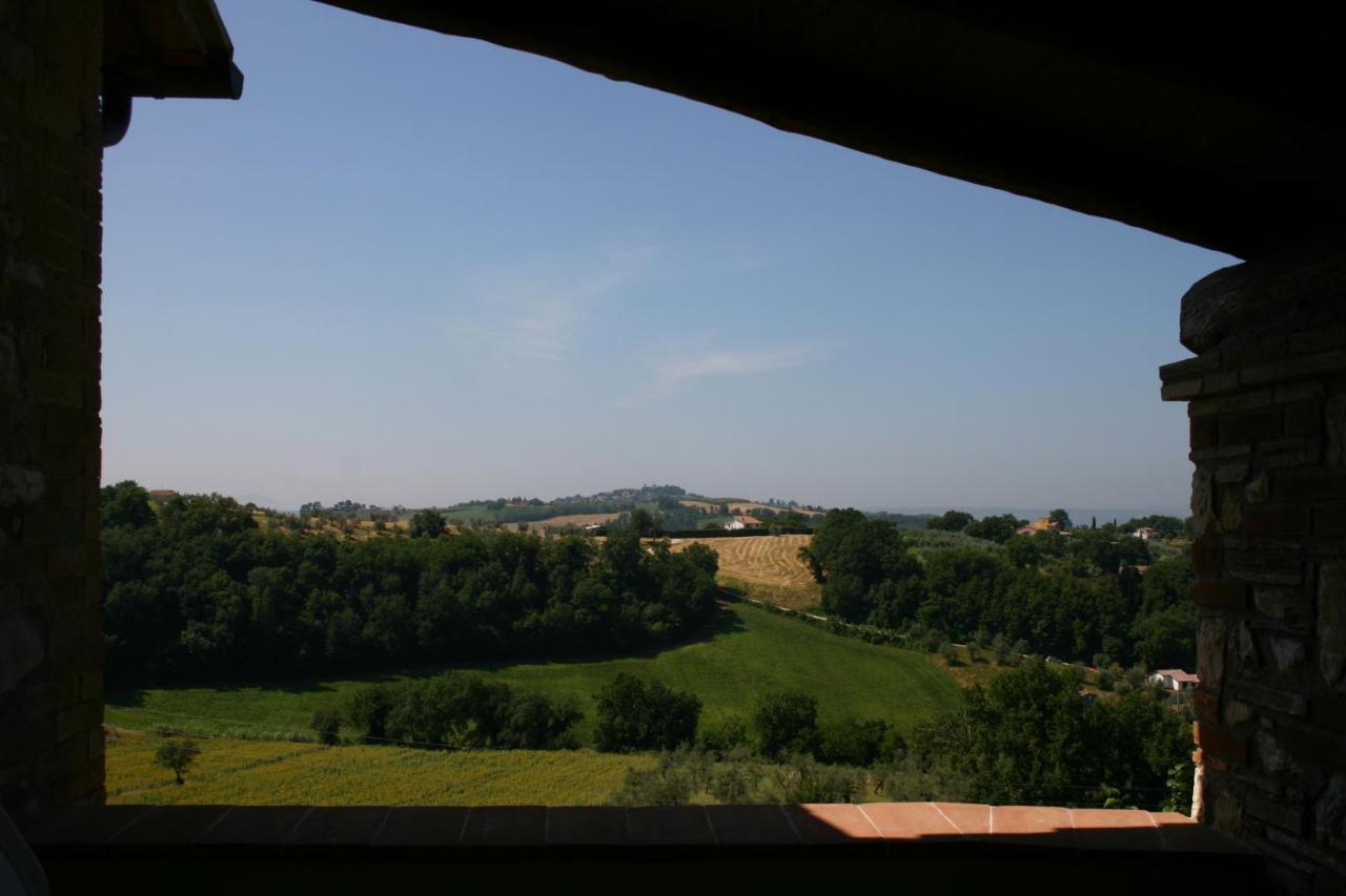 Agriturismo Oliveto Di Geltrude Contessa Amelia Exterior photo